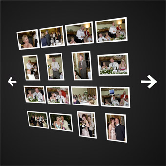 Webster Wedding